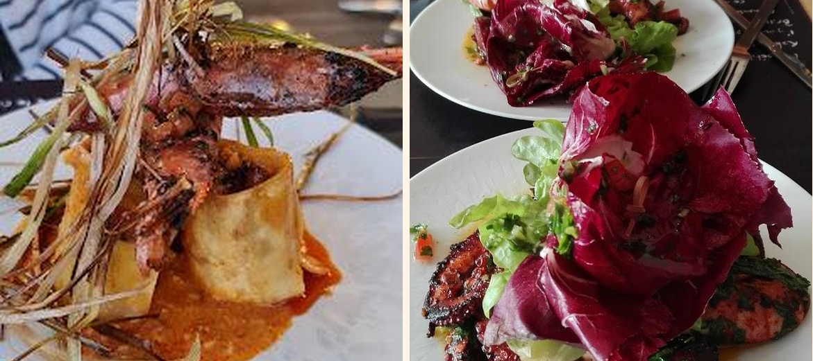 Le Tetras - Gallery Image 7